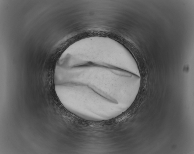X0000088890870200707061430