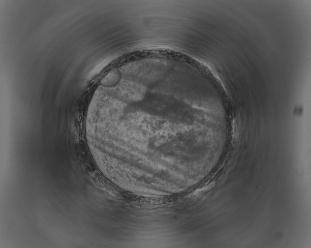 X0000088890871200707061430