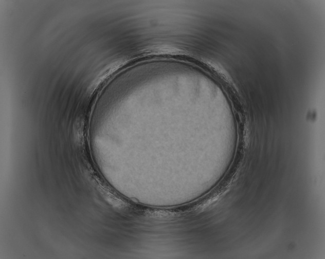 X0000088890873200707061430