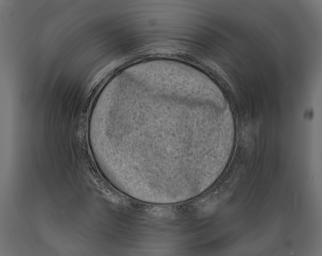 X0000088890874200707061430