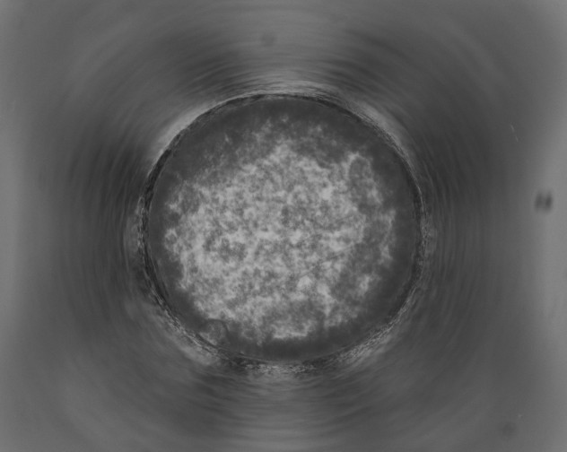 X0000088890875200707061430