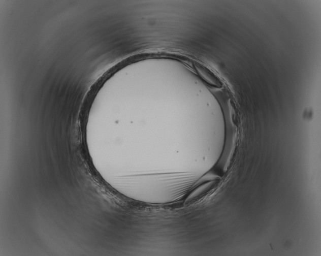 X0000088890876200707061430