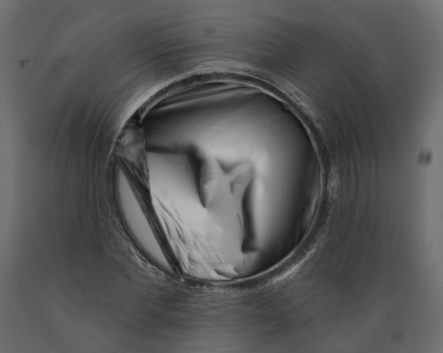 X0000088890877200707061430