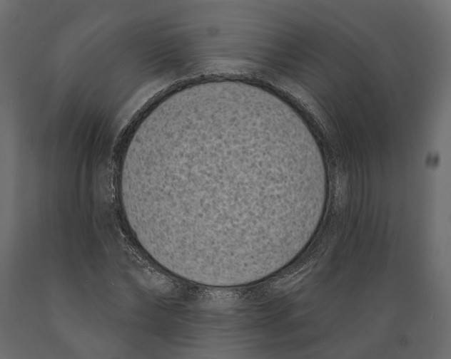 X0000088890878200707061430