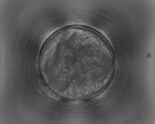 X0000088890879200707061430