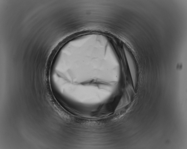 X0000088890880200707061430