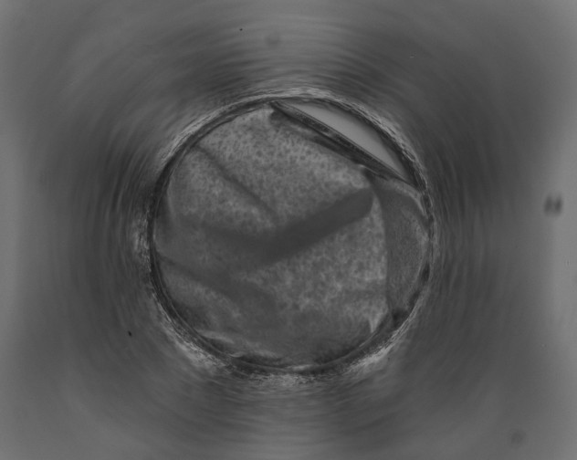 X0000088890881200707061430