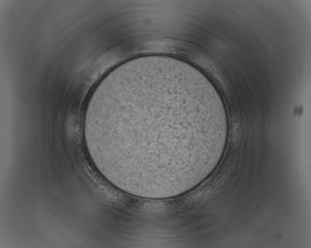 X0000088890882200707061430