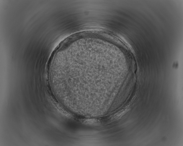 X0000088890883200707061430