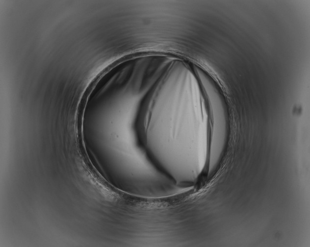 X0000088890884200707061430
