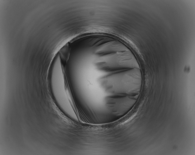 X0000088890885200707061430