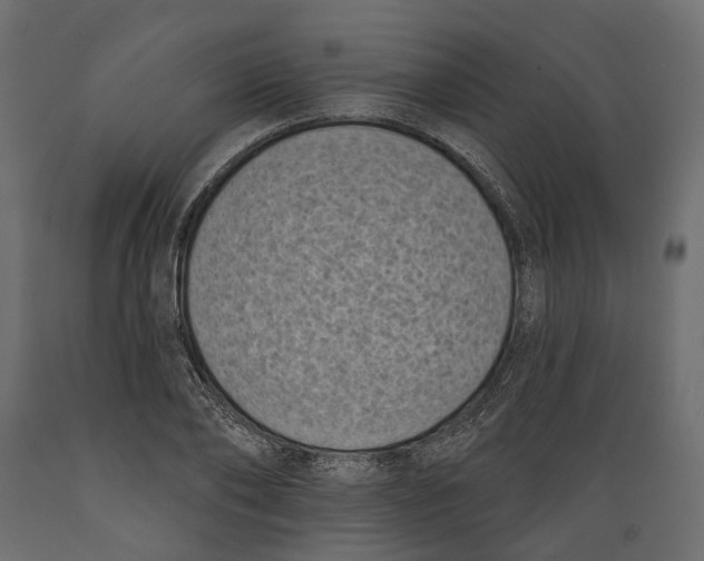 X0000088890886200707061430