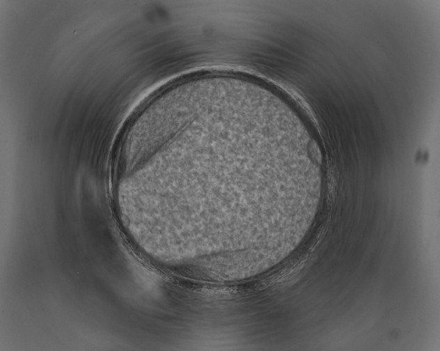 X0000088890887200707061429
