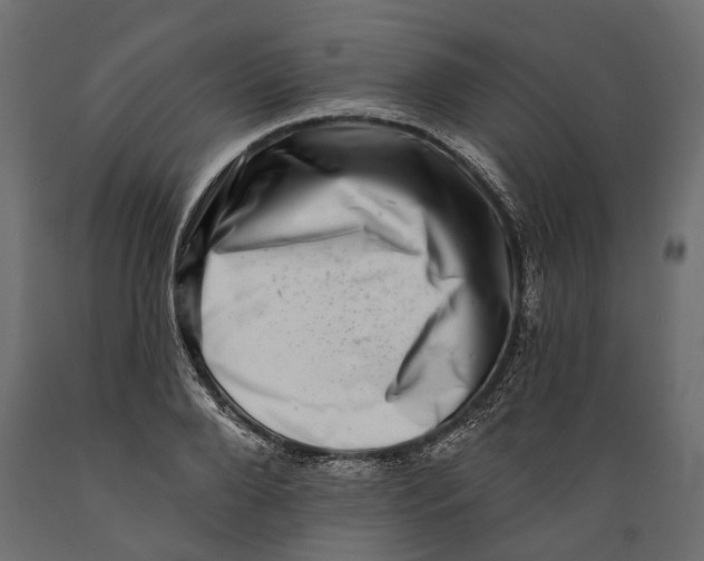 X0000088890888200707061429