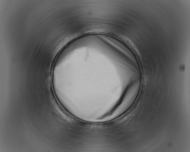 X0000088890890200707061429