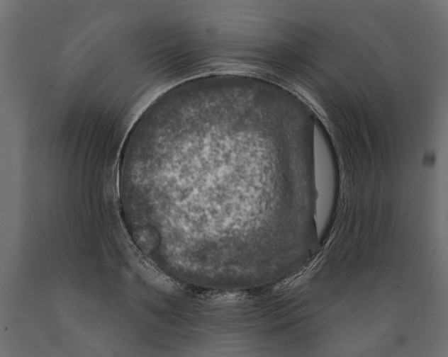 X0000088890891200707061429