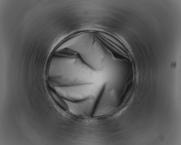 X0000088890893200707061429
