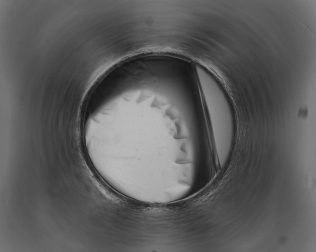 X0000088890894200707061429