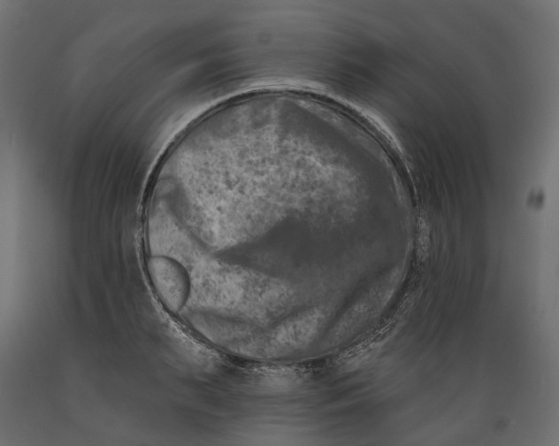 X0000088890895200707061429