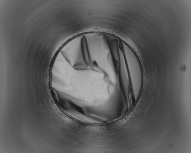 X0000088890896200707061429