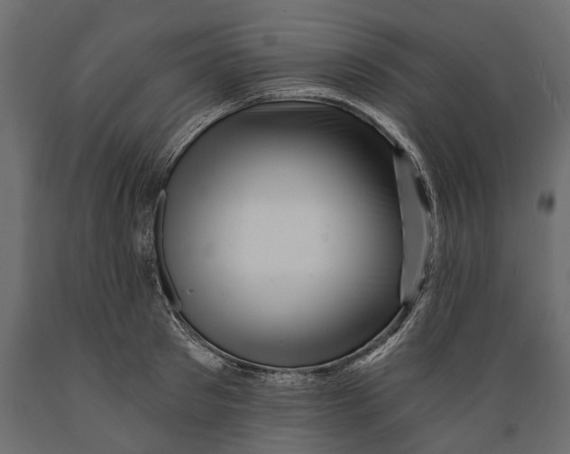 X0000088890897200707061429