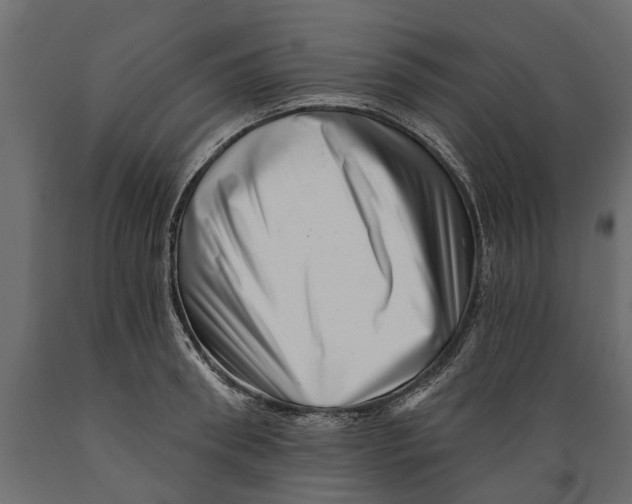 X0000088890898200707061429