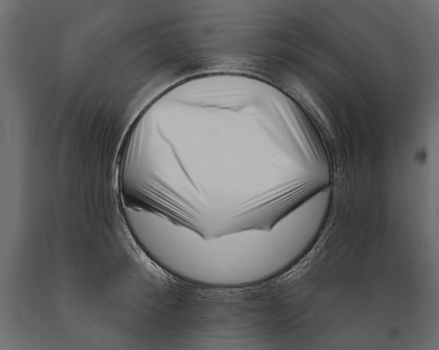 X0000088890900200707061429