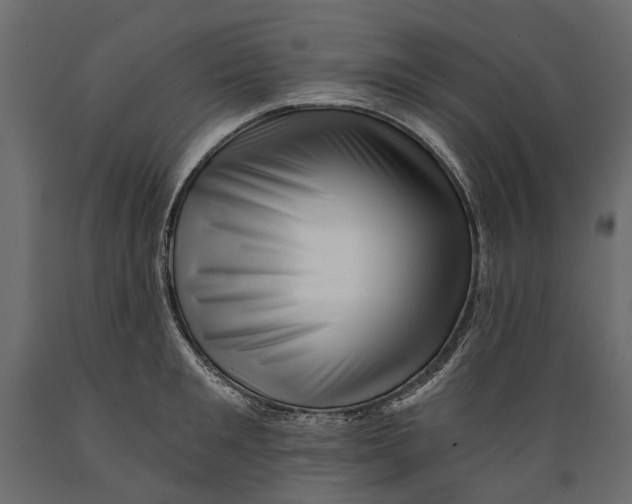 X0000088890901200707061429