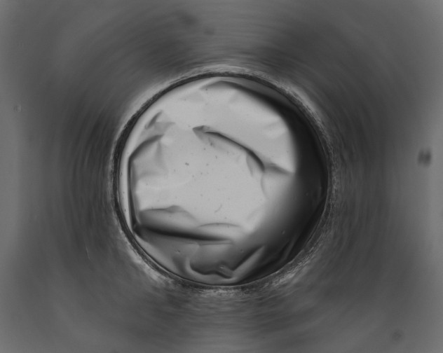 X0000088890902200707061429