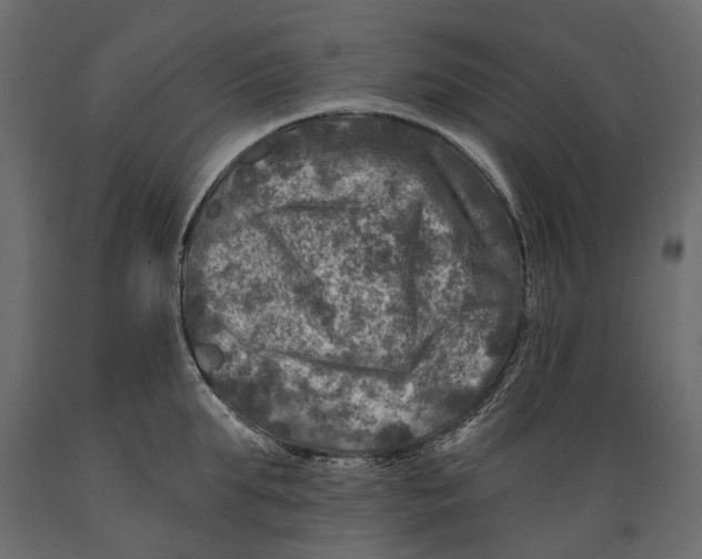 X0000088890903200707061429