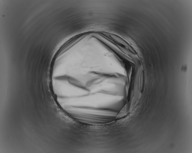 X0000088890904200707061429