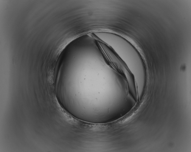 X0000088890905200707061429