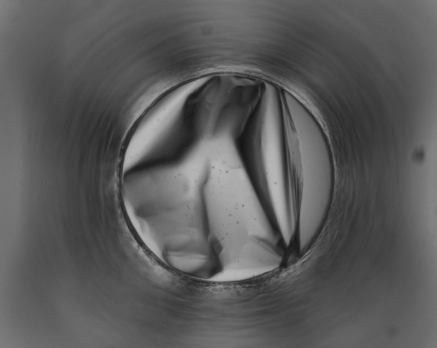 X0000088890906200707061429
