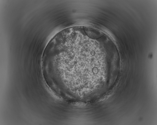 X0000088890907200707061429
