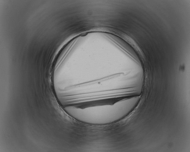 X0000088890908200707061429
