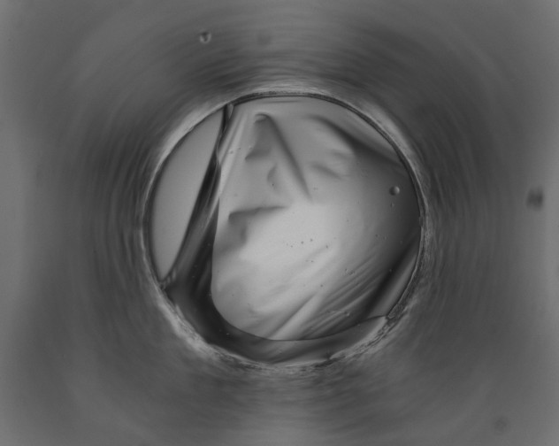 X0000088890909200707061429