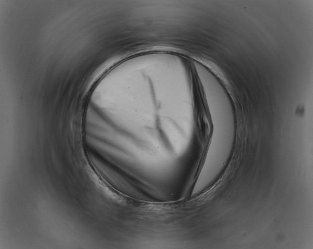 X0000088890910200707061429