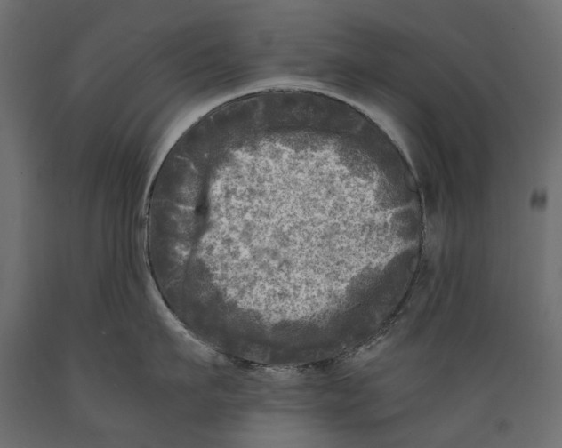 X0000088890911200707061429