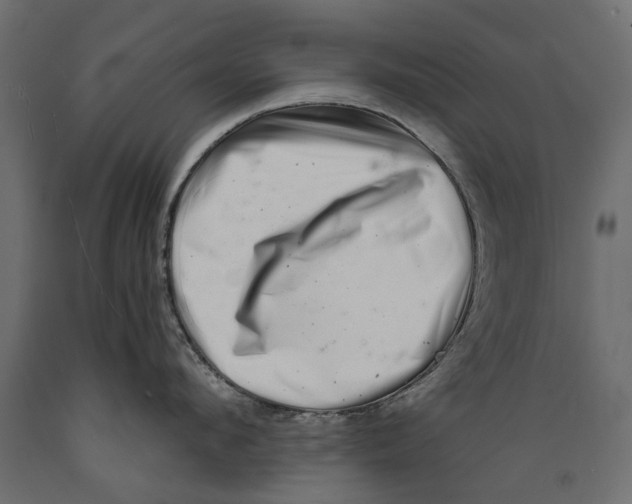 X0000088890912200707061429