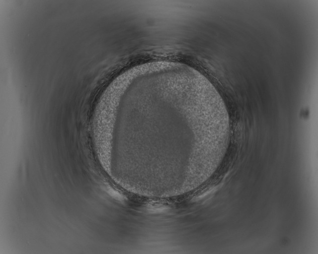 X0000088890913200707061428