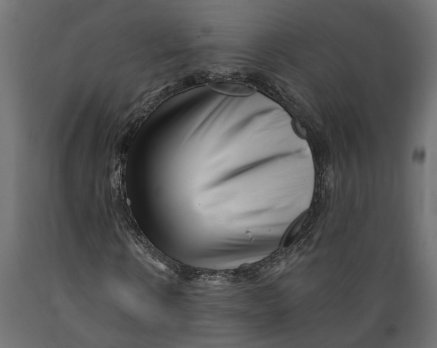 X0000088890914200707061428