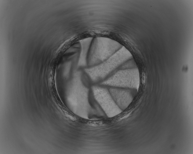 X0000088890915200707061428