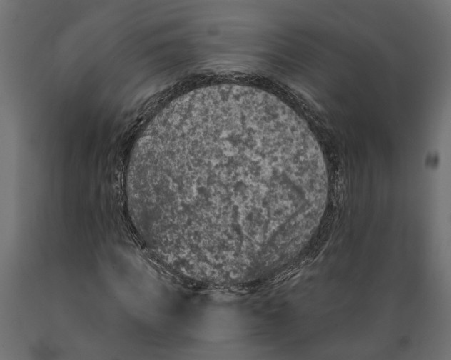 X0000088890917200707061428