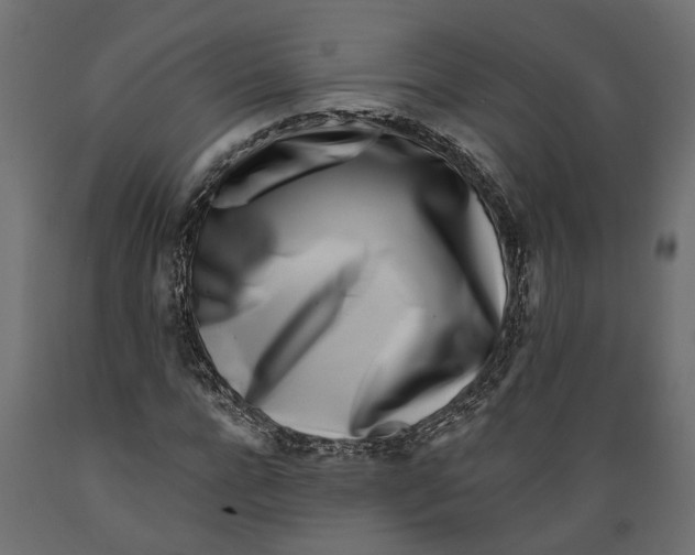 X0000088890920200707061429