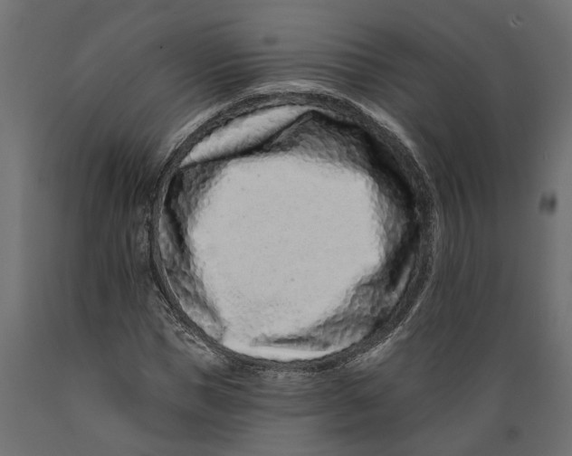 X0000088890921200707061429