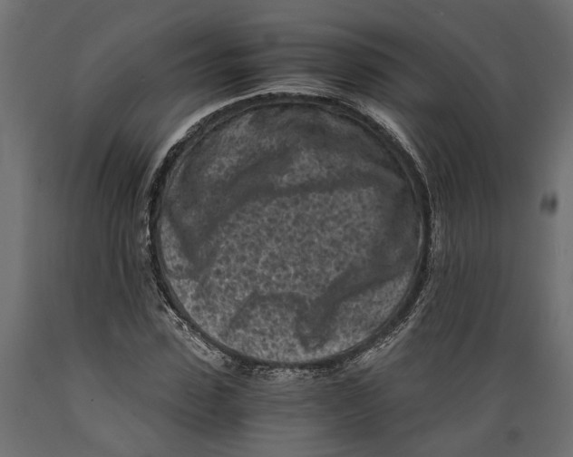 X0000088890923200707061429