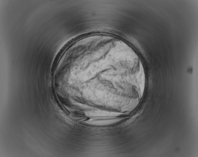 X0000088890924200707061429