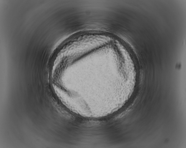 X0000088890925200707061429