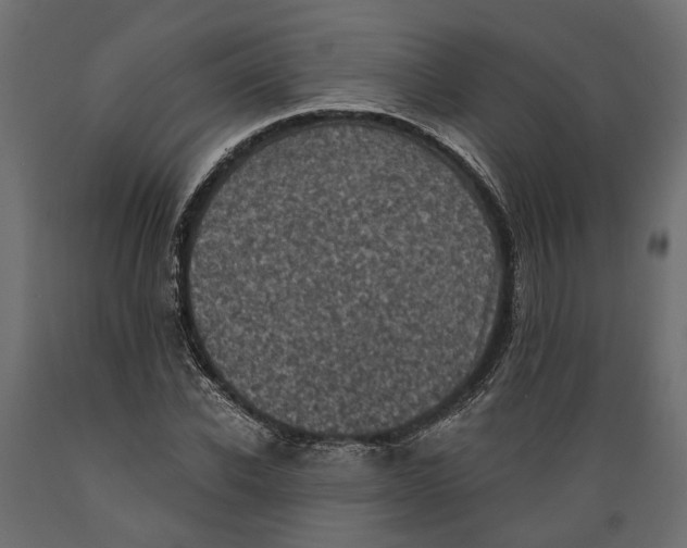 X0000088890926200707061429
