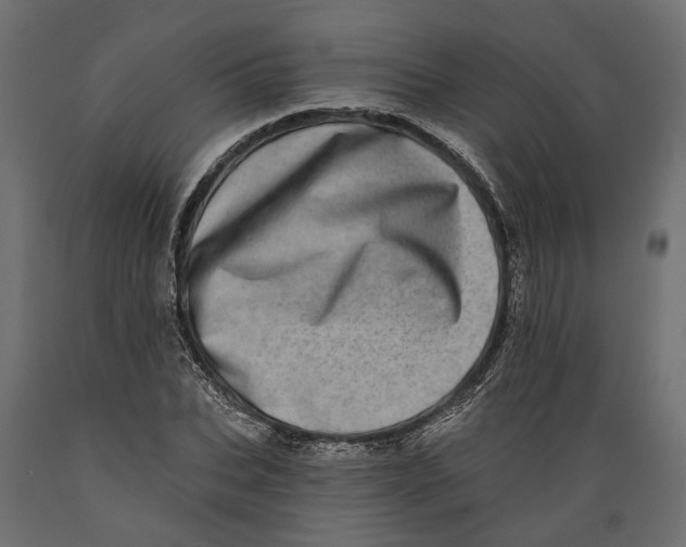 X0000088890927200707061429